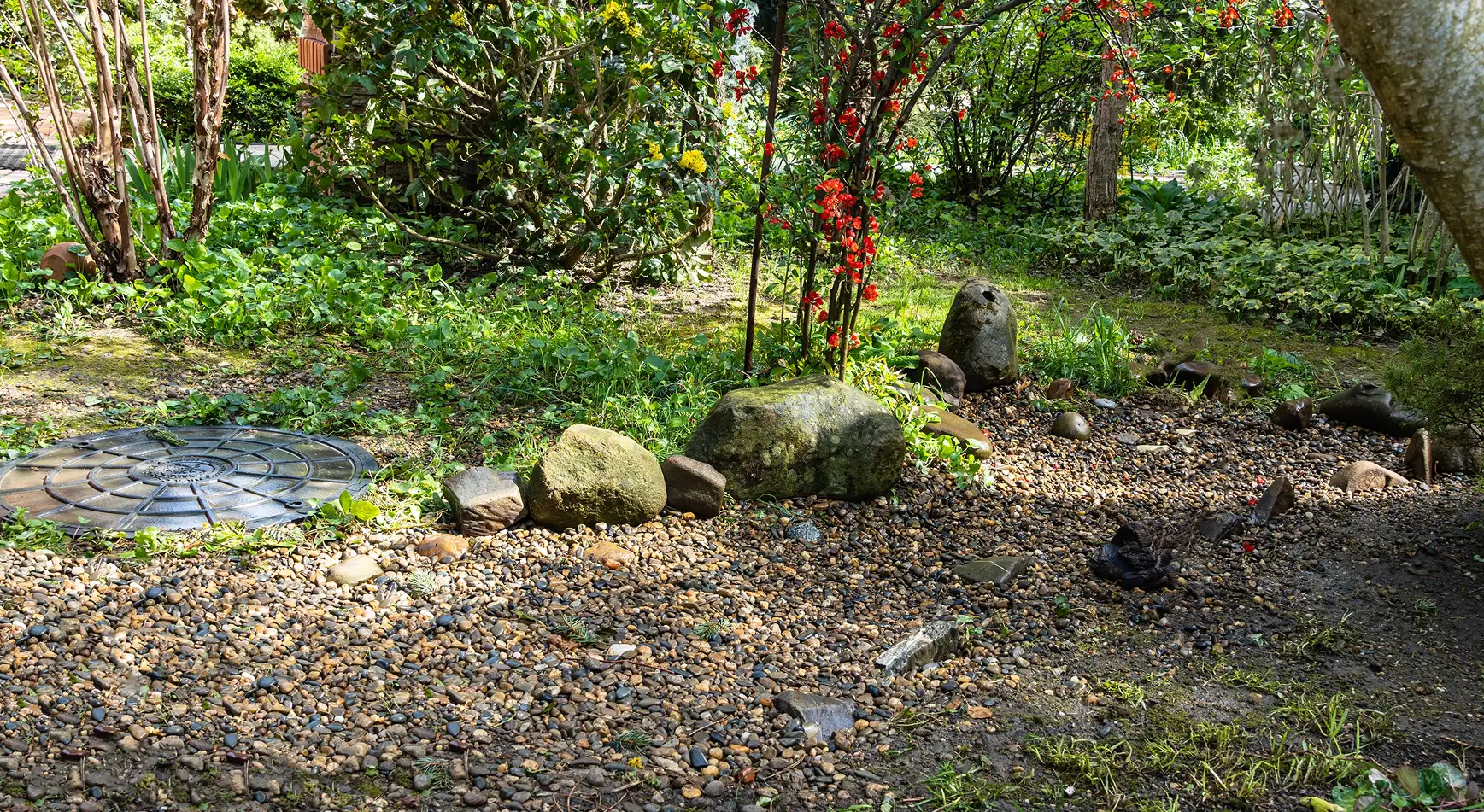 Septic Tank Installation In Lismore Northern Rivers mb 1